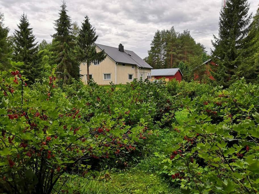 Willa Mukava Mummonmoekki Maaseudun Rauhassa Koivu Zewnętrze zdjęcie