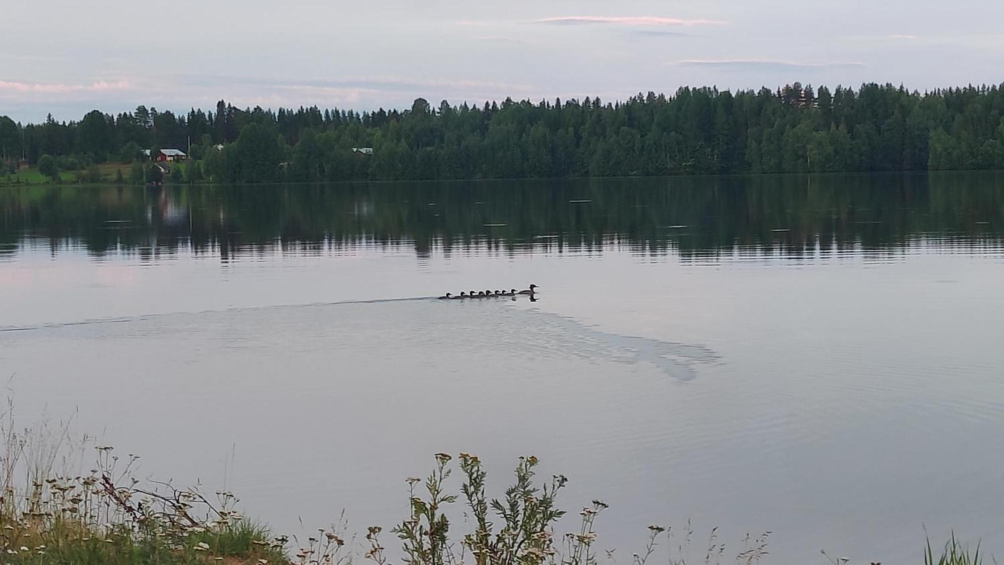 Willa Mukava Mummonmoekki Maaseudun Rauhassa Koivu Zewnętrze zdjęcie